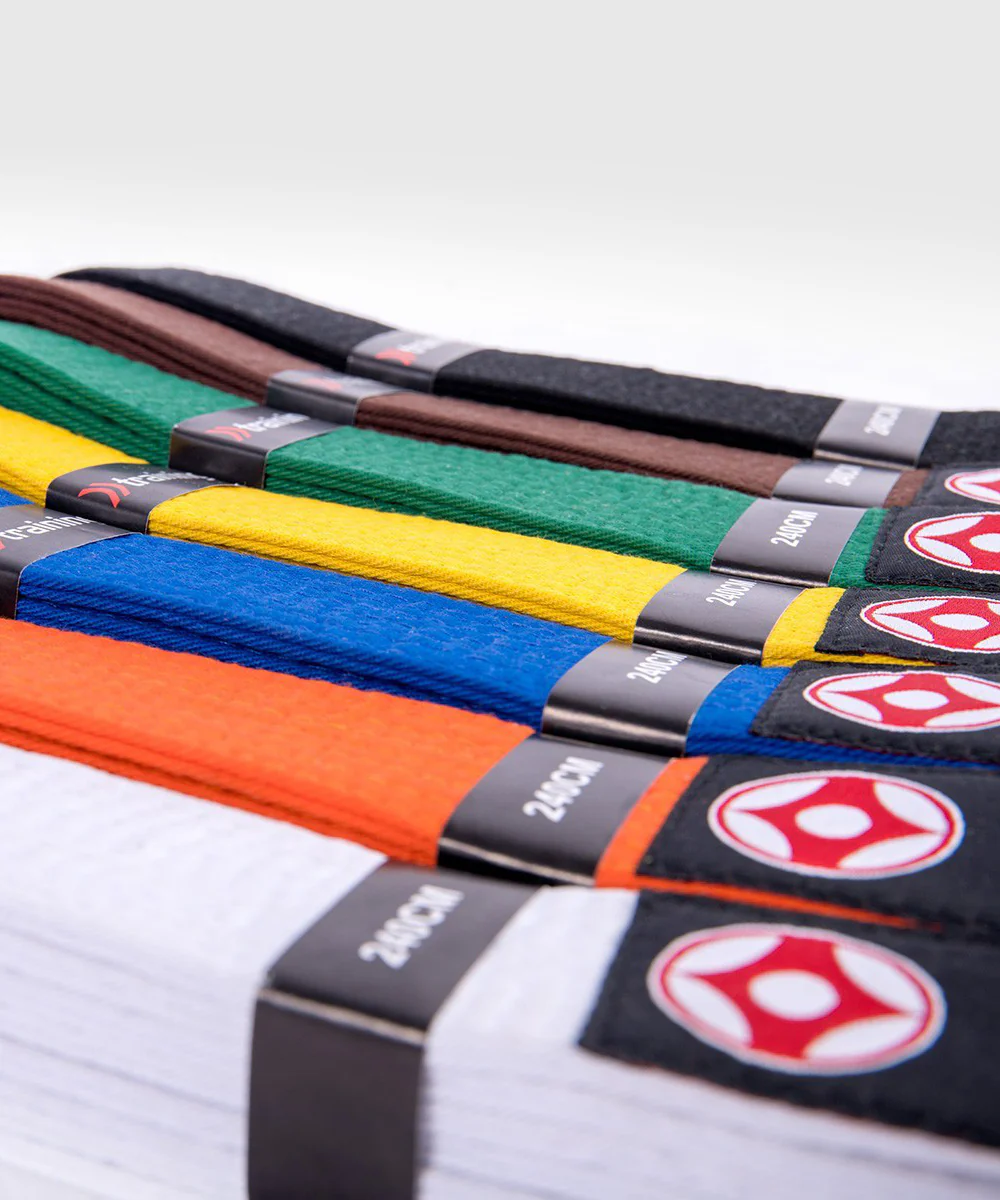 Ceinture Kyokushin Fujimae - Marron - Image 2