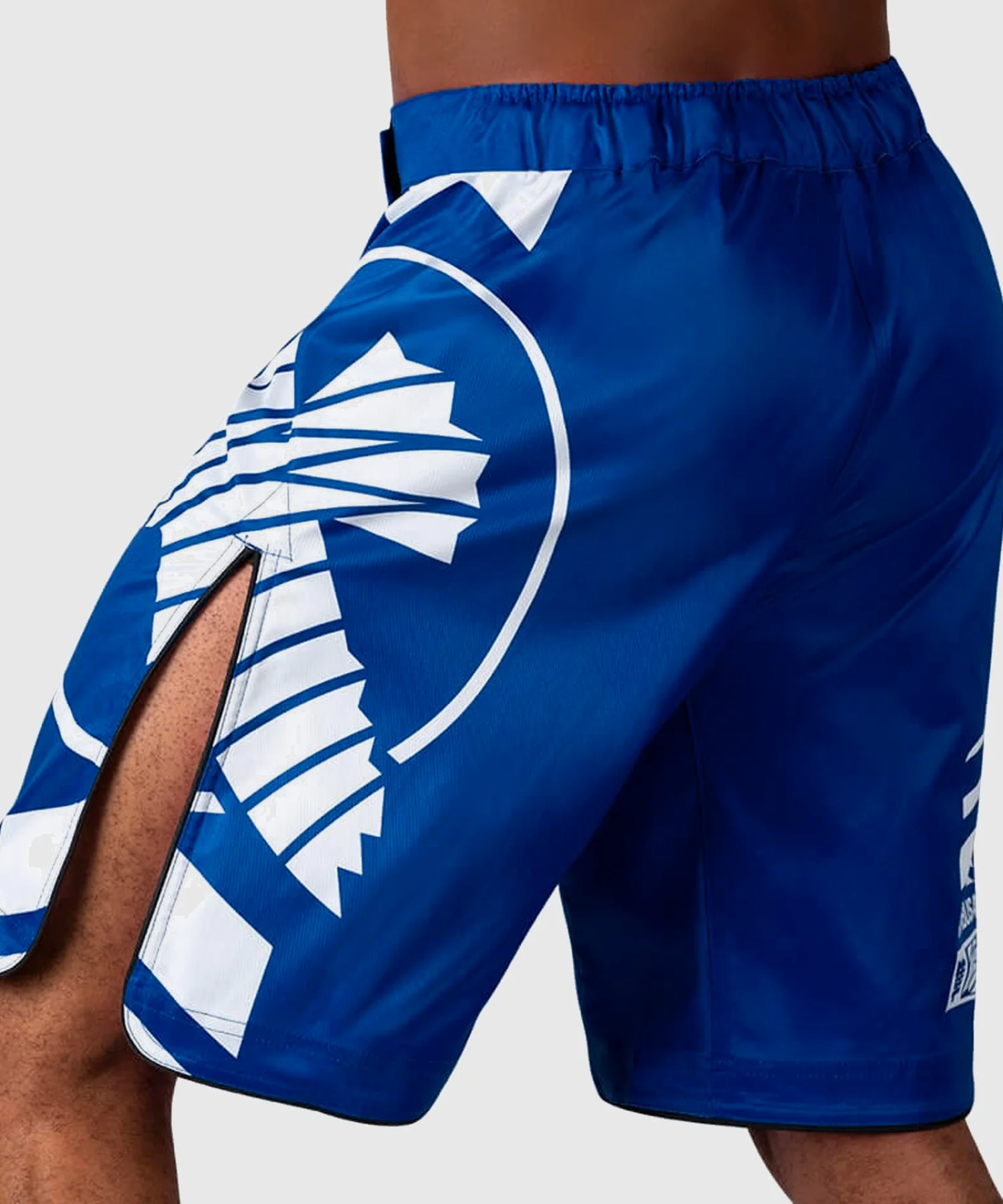 Short de MMA Hayabusa Icon - Bleu - Image 4