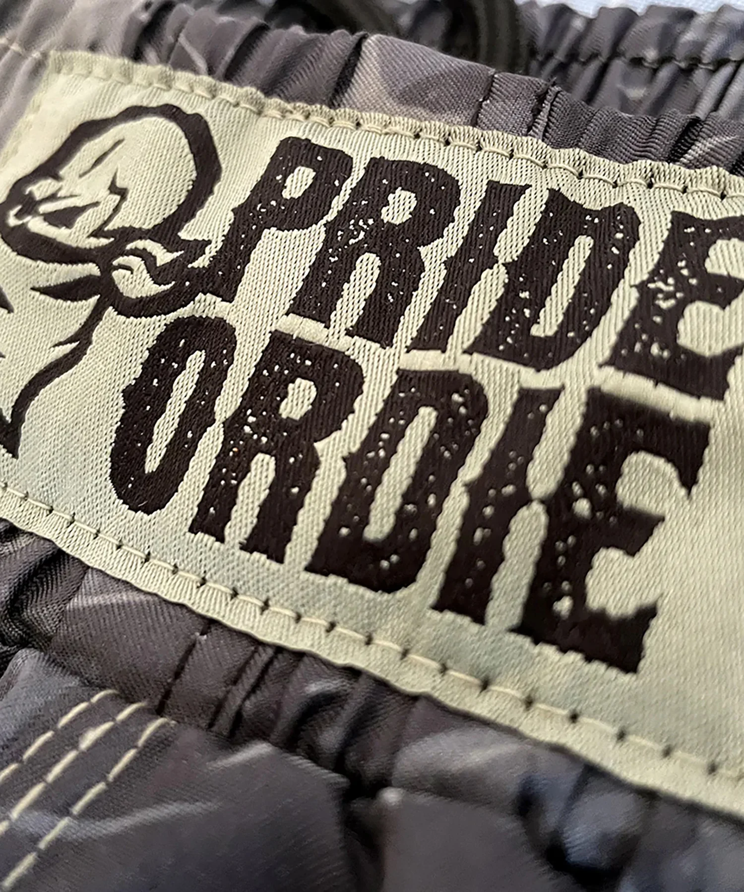Short de MMA Pride Or Die Shadow - Noir - Image 2
