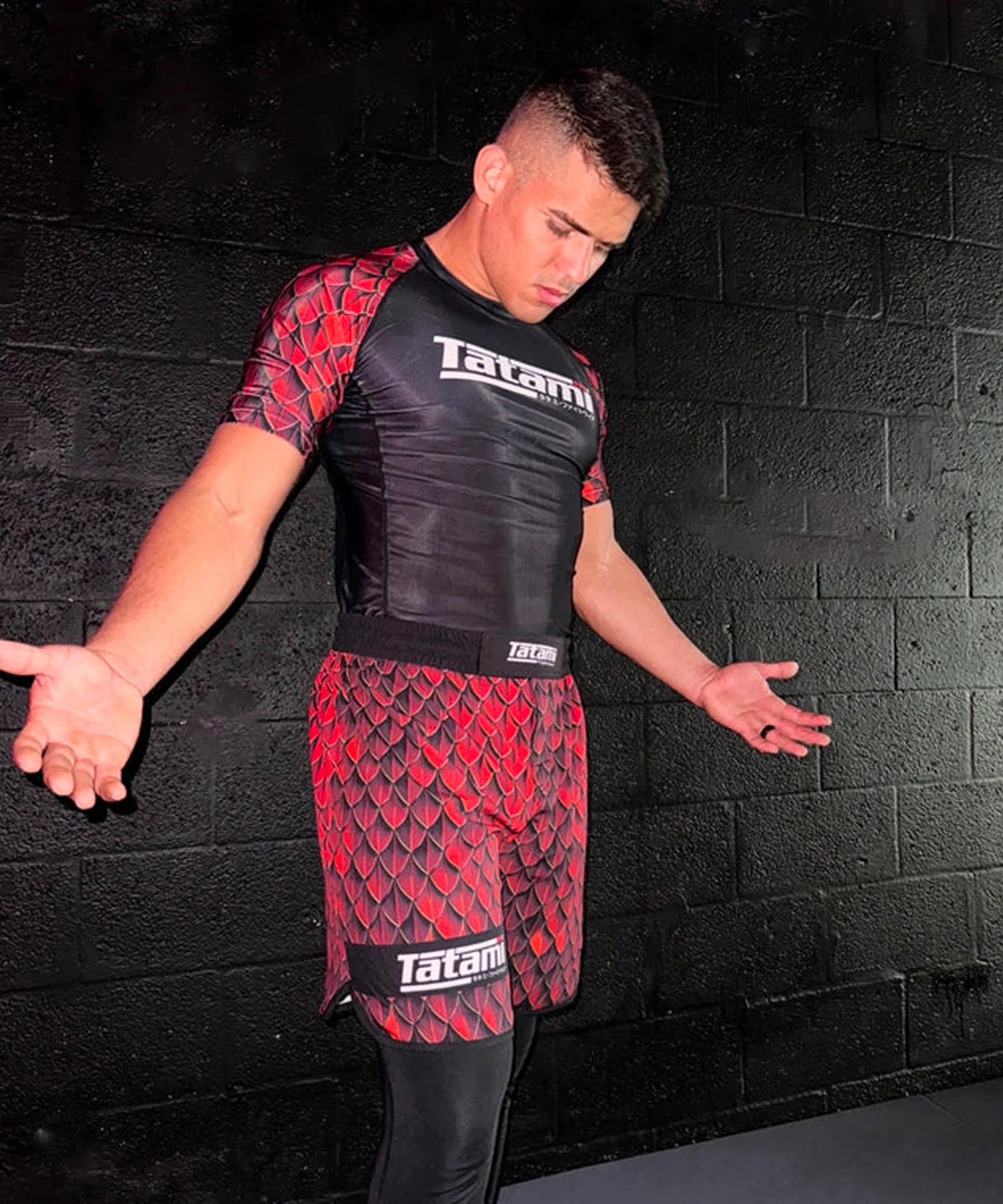Fightshort Tatami Fightwear Recharge Dragon - Image 2