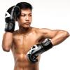 Gants de Boxe 8 Weapons Big 8 - Noir - Image 8