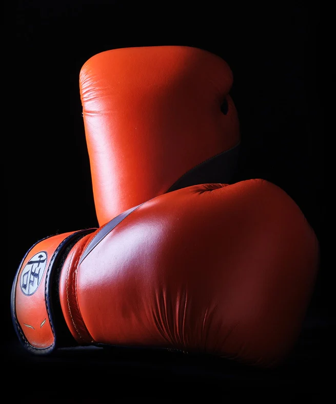 Gants de Boxe Elion X Dragon Ball Z Edition Limitée - Goku - Image 3