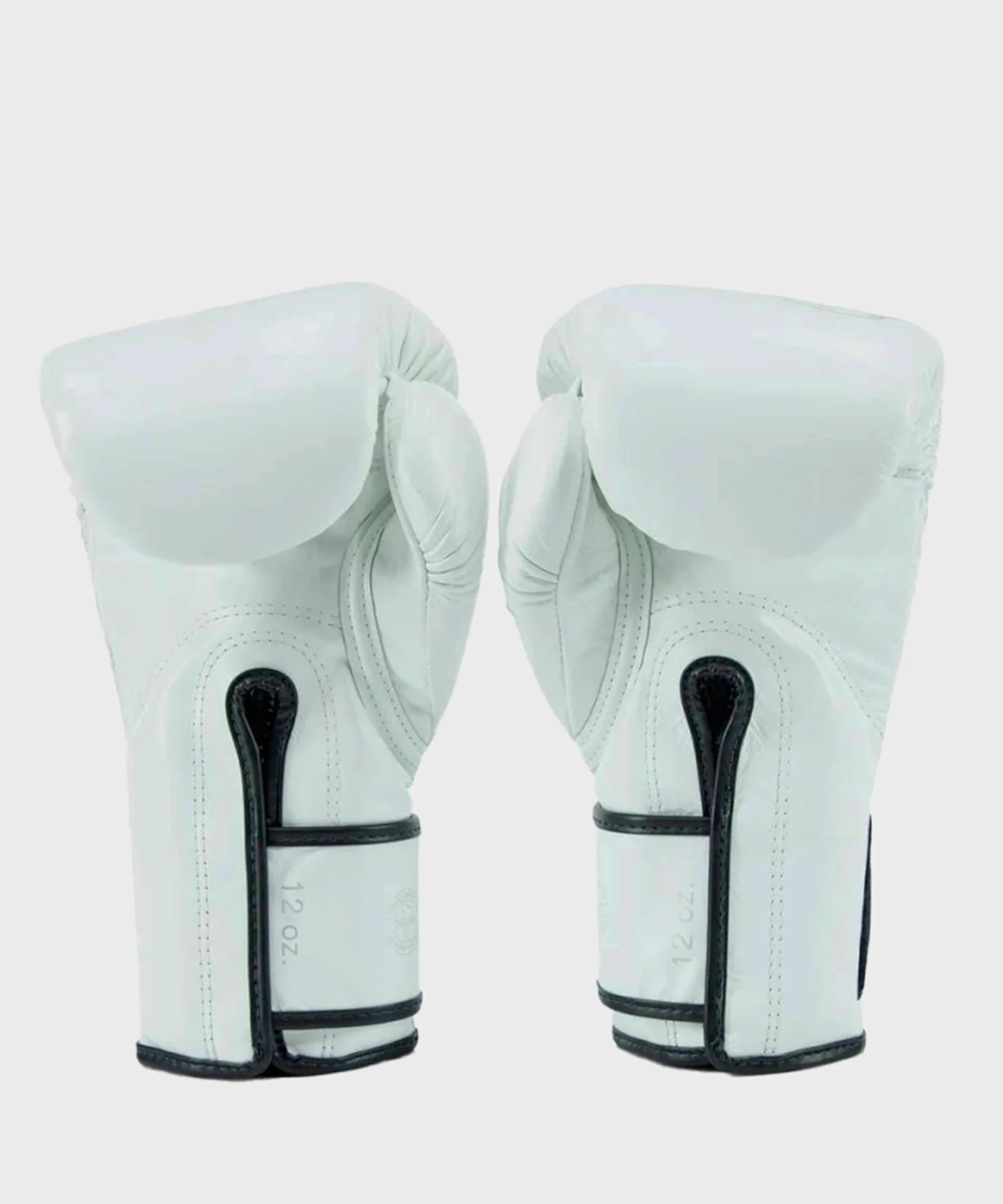 Gants de Boxe Fairtex X Glory - Blanc/Argent - Image 3