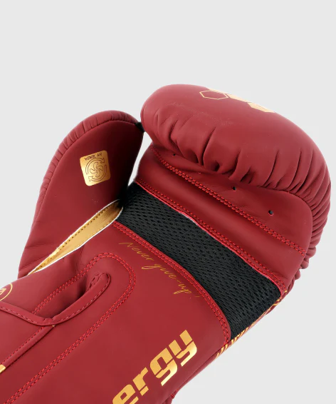 Gants de Boxe Montana Energy Legend - Rouge/Or - Image 5