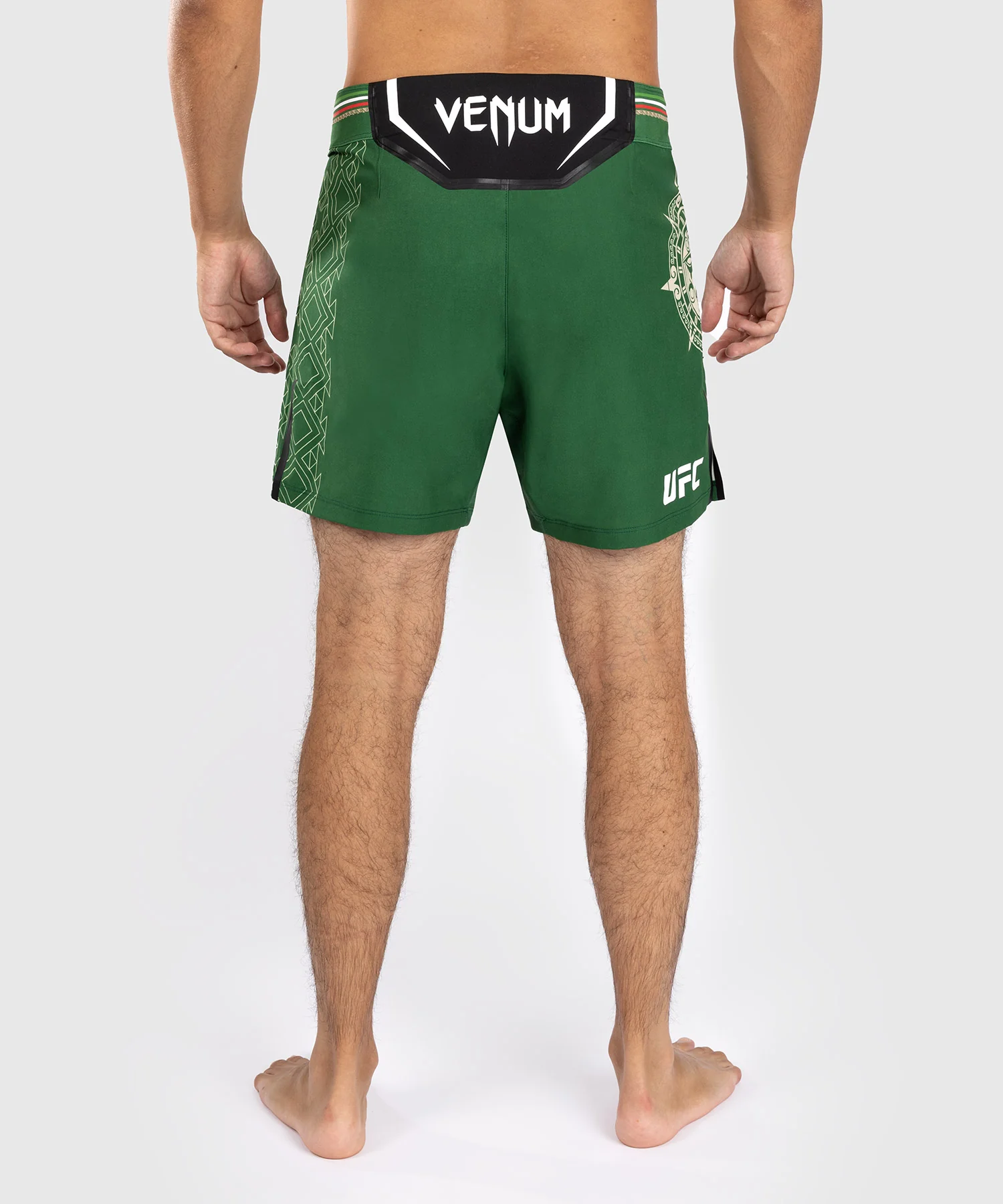 Noche UFC by Venum Authentic Fight Night Short de Combat pour homme - Coupe Courte - Vert - Image 2