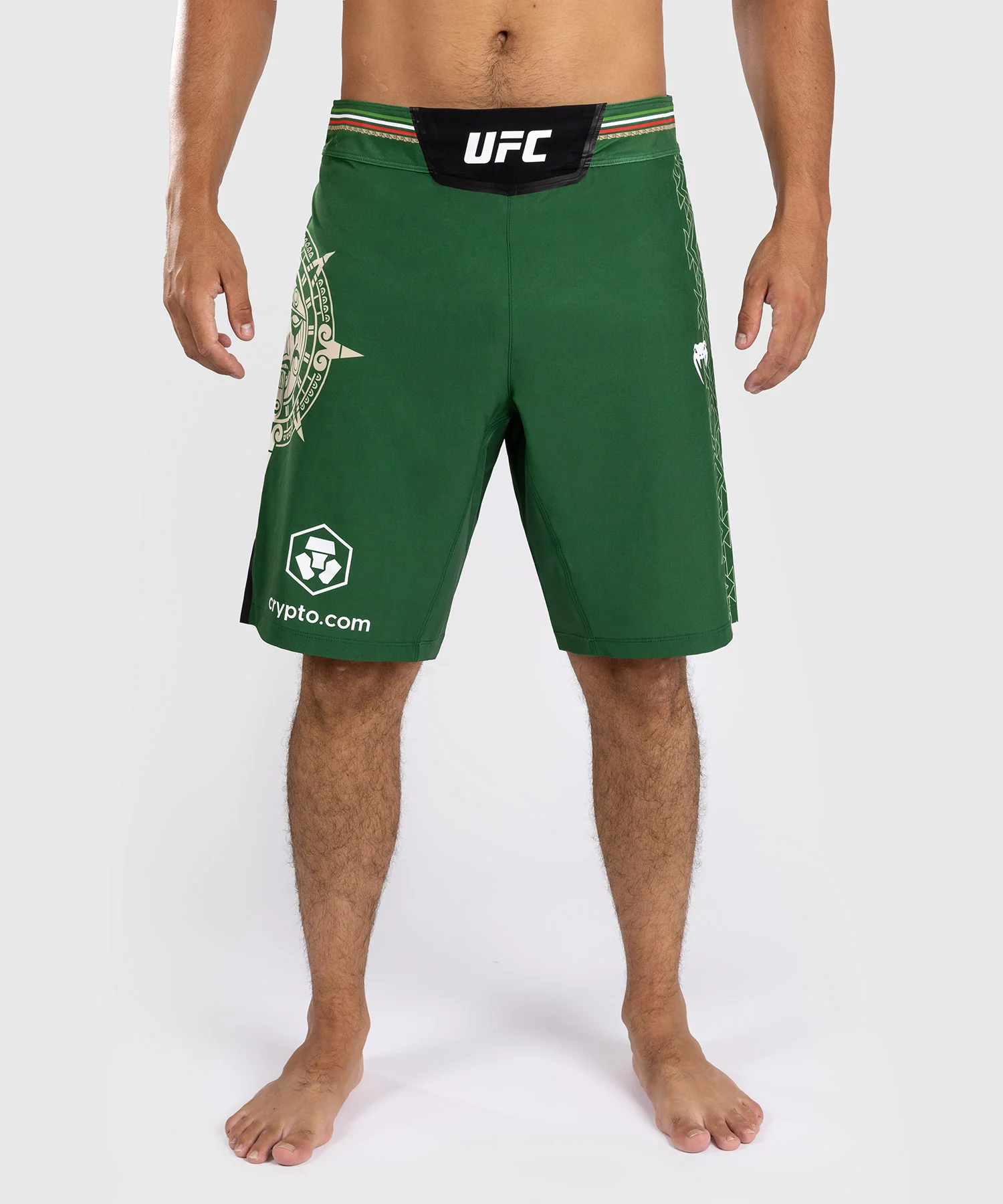 Noche UFC by Venum Authentic Fight Night Short de Combat  pour homme - Coupe Longue - Vert