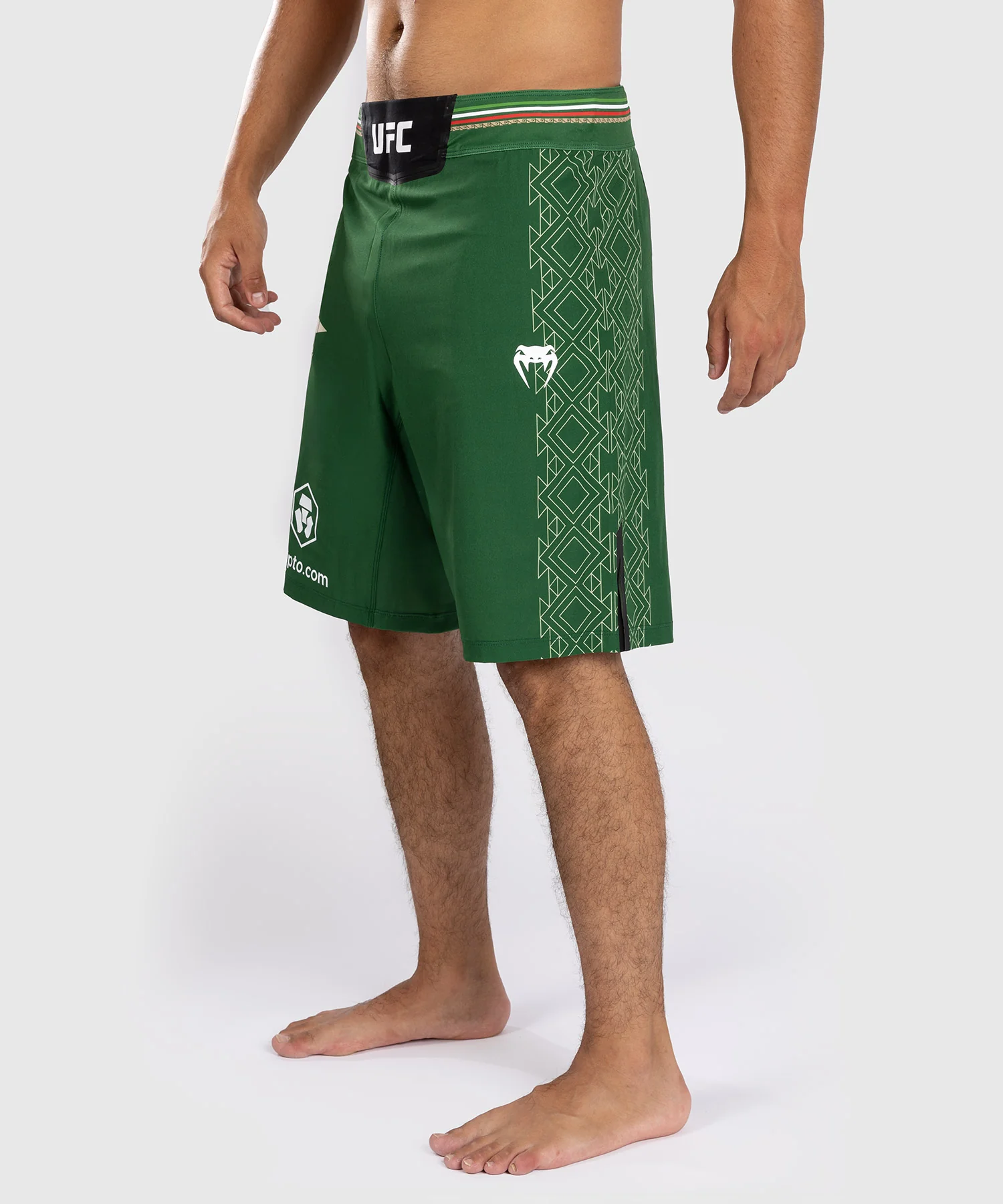 Noche UFC by Venum Authentic Fight Night Short de Combat  pour homme - Coupe Longue - Vert - Image 2