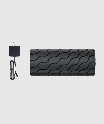 Rouleau de massage Theragun - Noir - Image 3