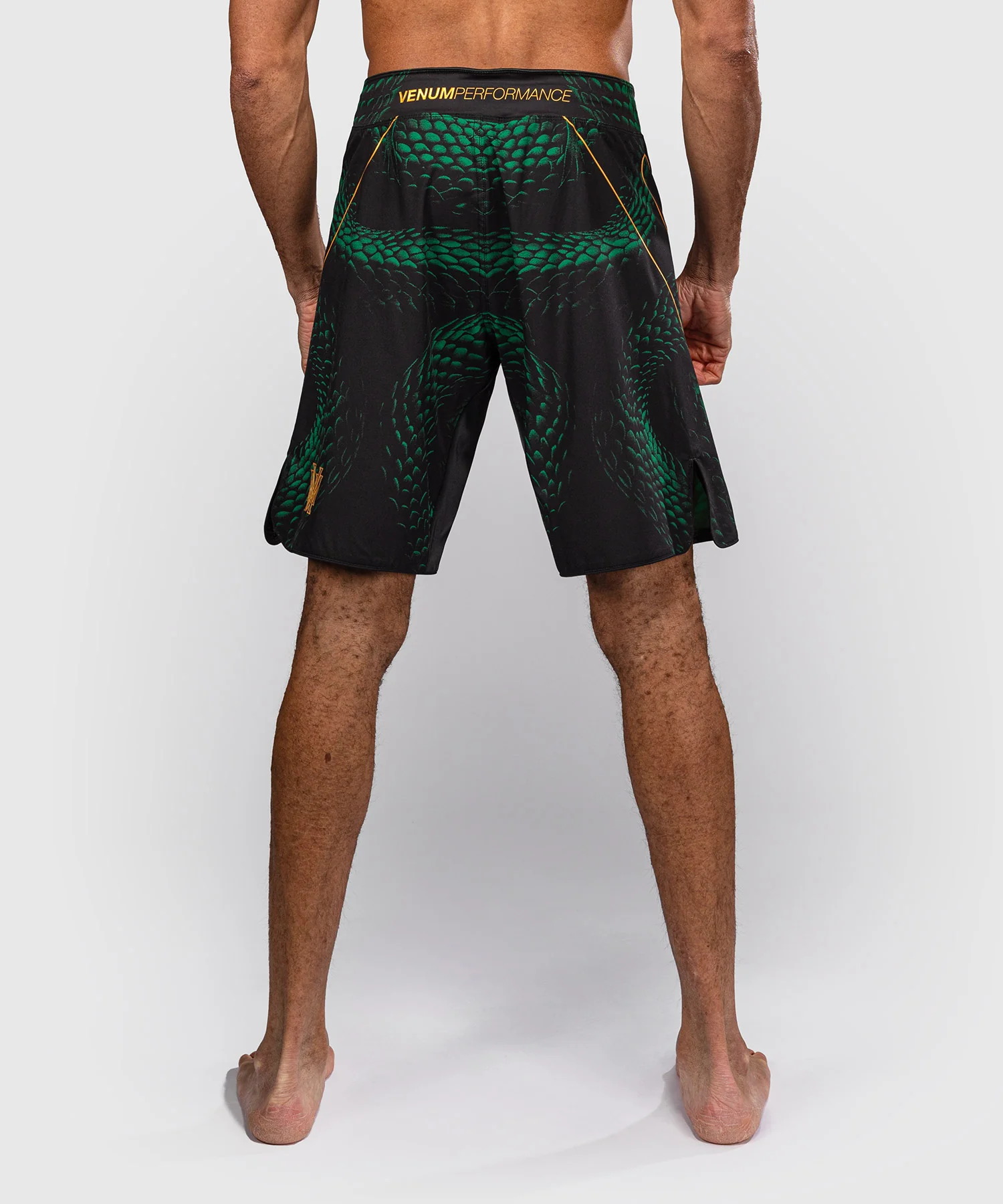 Short de Combat Venum Matupa - Noir/Vert/Or - Image 3