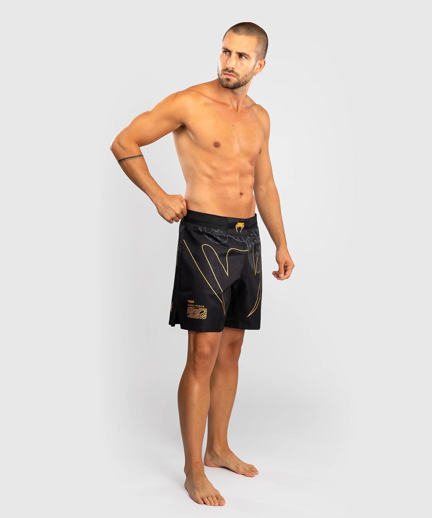 Short de Combat Venum Serpenti – Noir/Argent/Or - Image 2