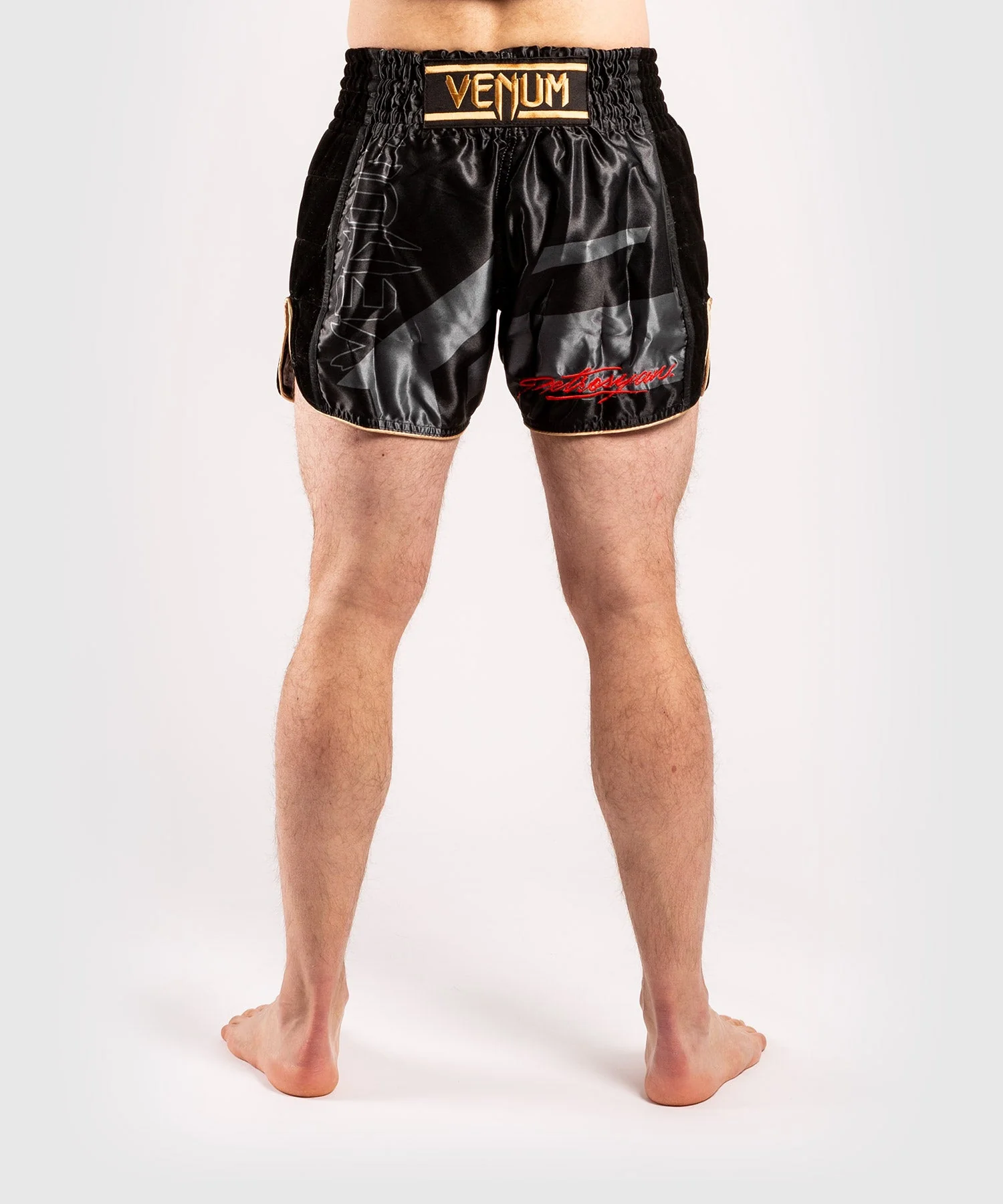 Short de Muay Thai Venum Petrosyan 2.0 - Noir/Or - Image 2