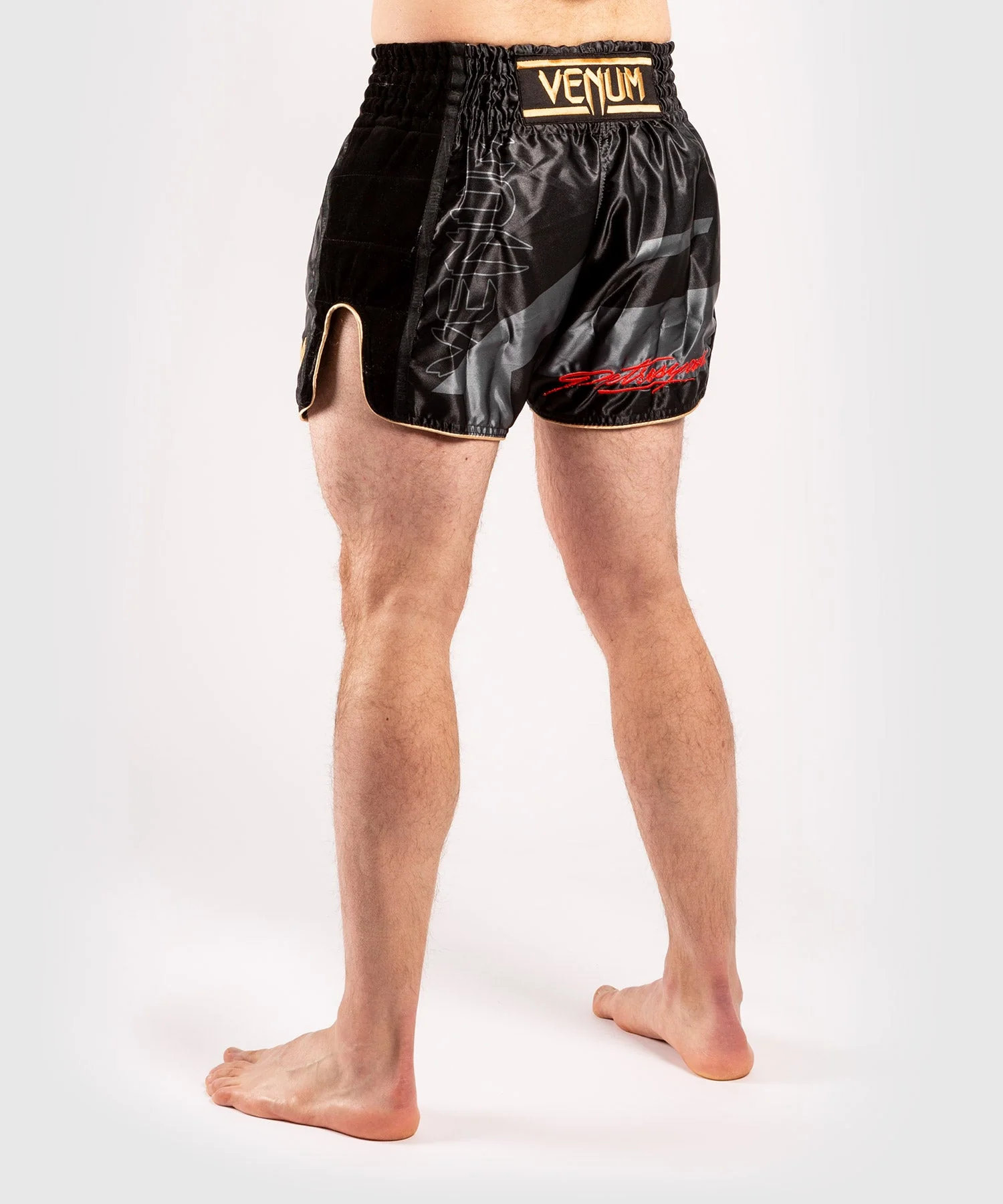 Short de Muay Thai Venum Petrosyan 2.0 - Noir/Or - Image 4