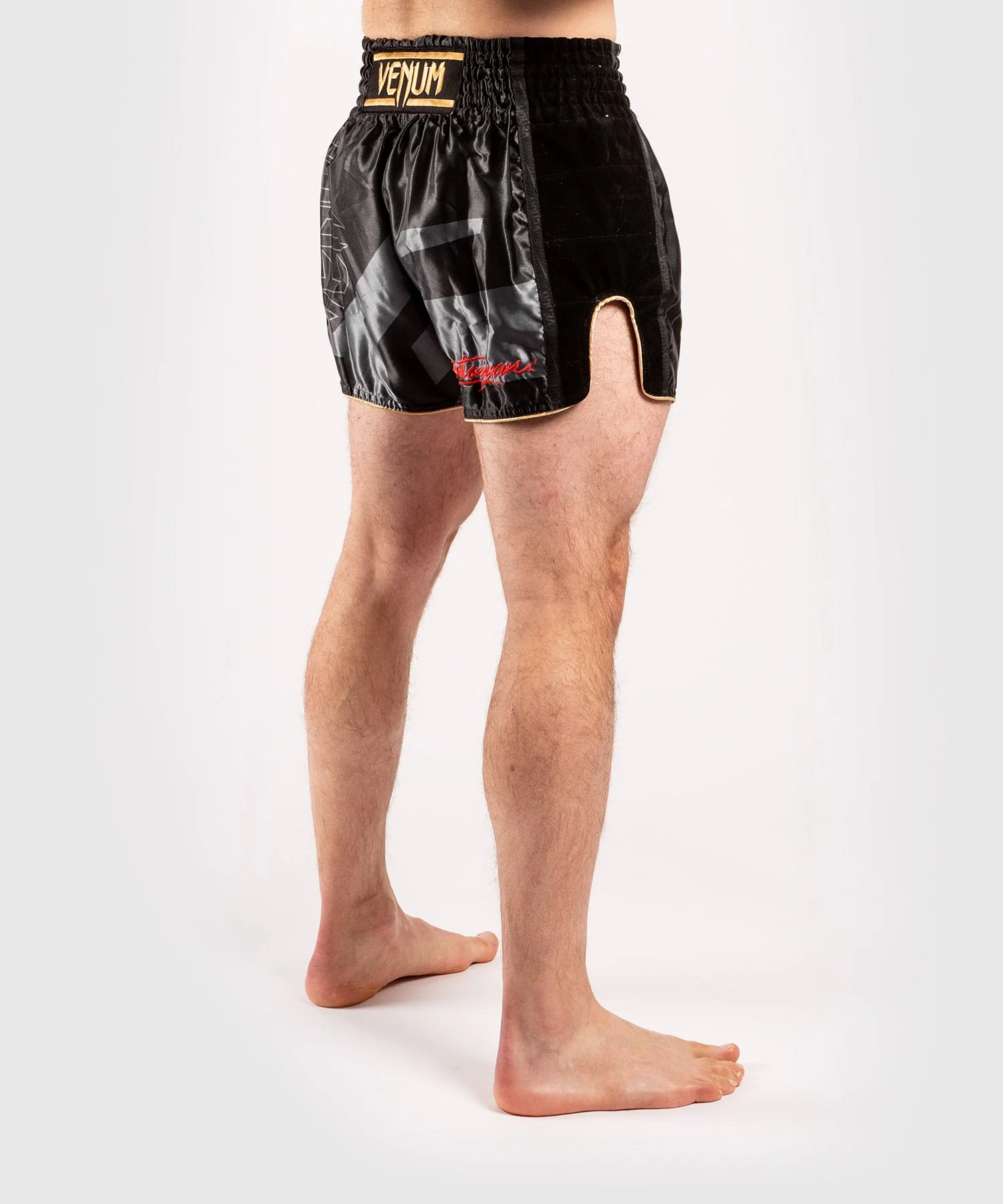 Short de Muay Thai Venum Petrosyan 2.0 - Noir/Or - Image 6
