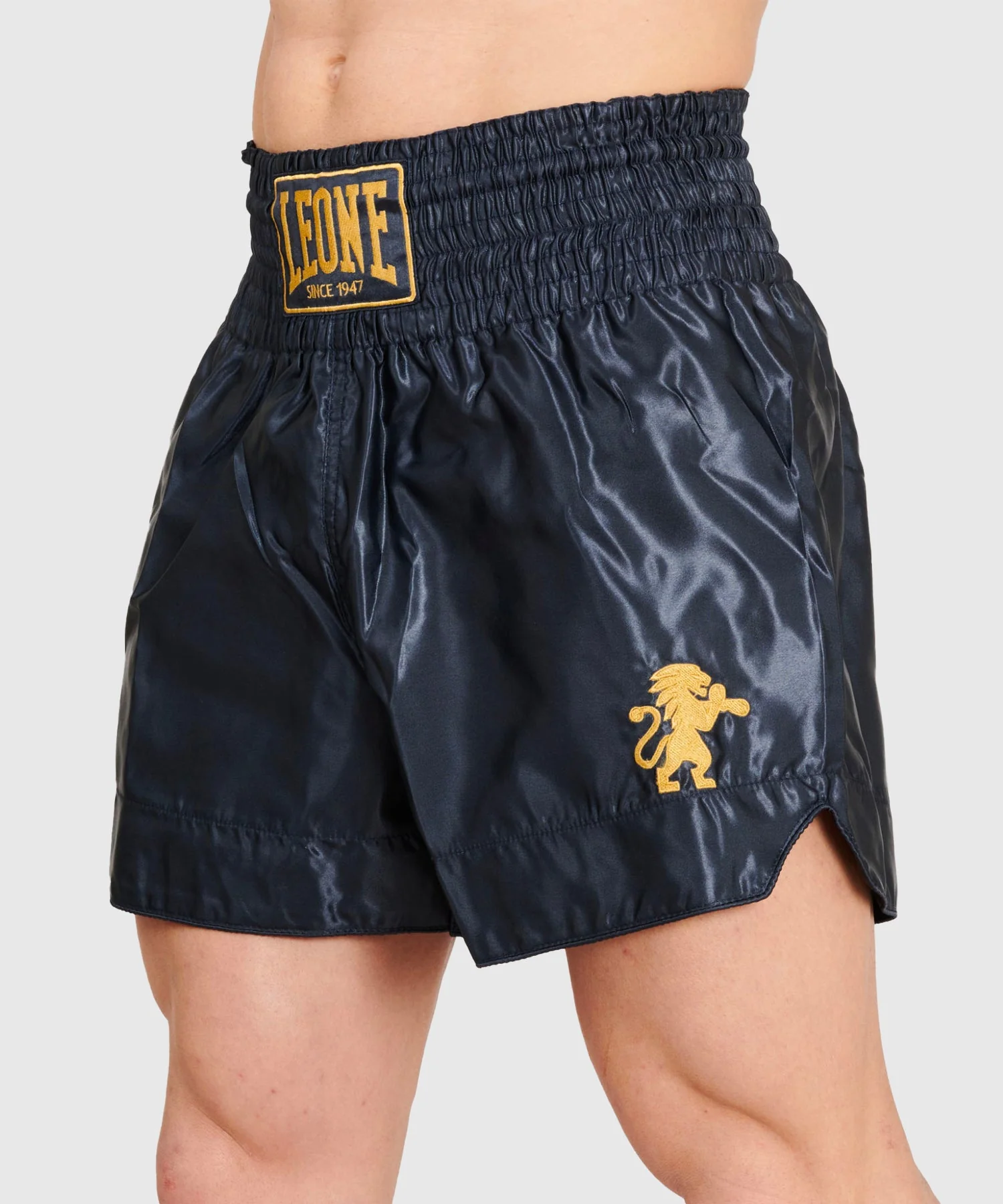 Short Muay Thaï Leone Basic - Bleu - Image 2