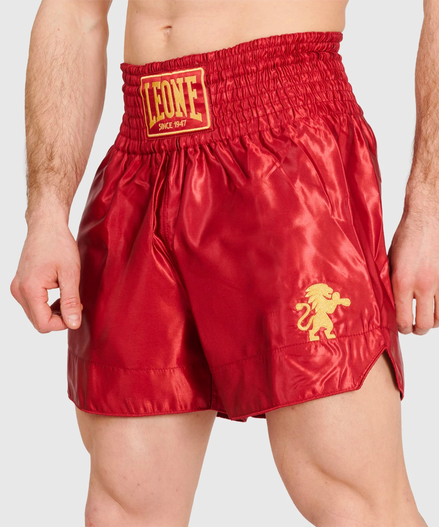 Short Muay Thaï Leone Basic - Rouge - Image 2