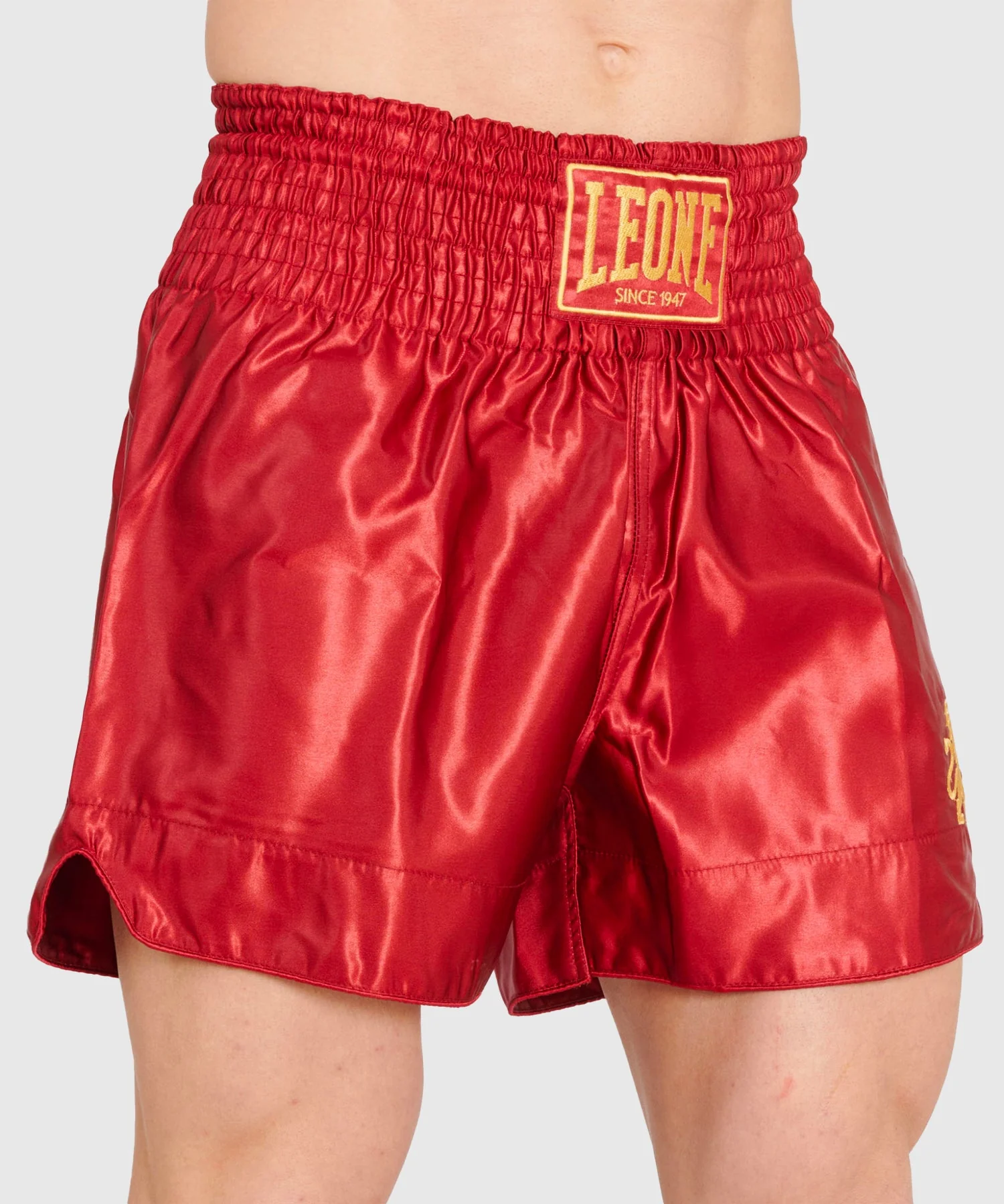 Short Muay Thaï Leone Basic - Rouge - Image 3