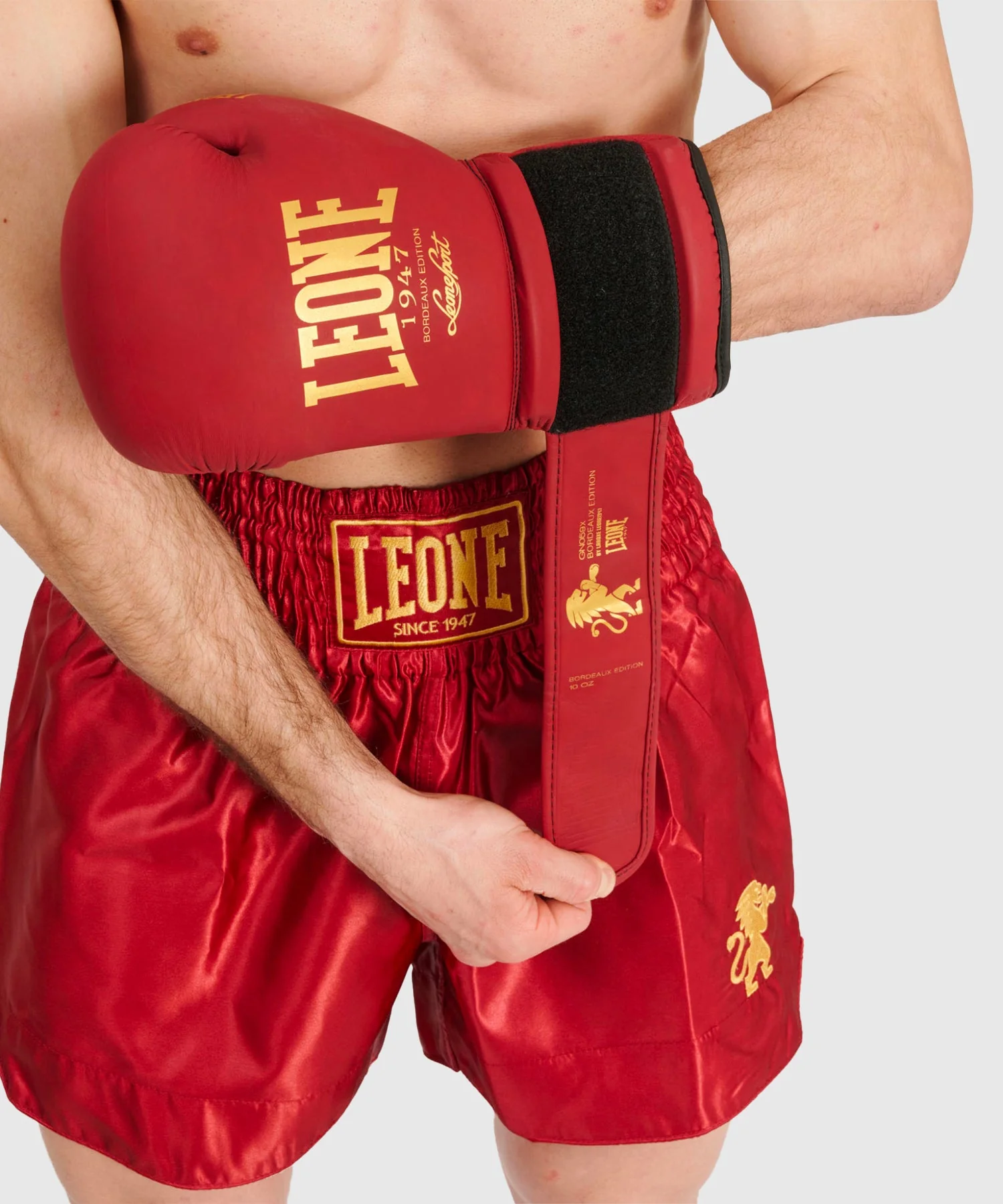 Short Muay Thaï Leone Basic - Rouge - Image 6