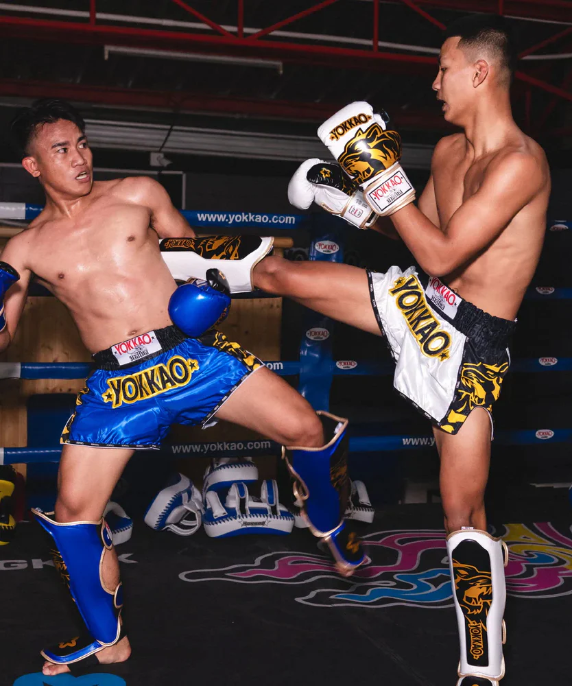 Short de Muay Thai Yokkao Original Or - Blanc - Image 2